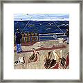 Redondo Beach Pelicans Framed Print