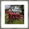 Reds In The Pasture Framed Print