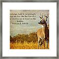 Reflecting His Glory Framed Print