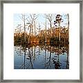 Reflection Framed Print