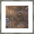 Reflection In Bubbles Framed Print
