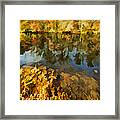Reflection Of Autumn Colors On The Canal Ii Framed Print