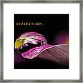 Reflection Framed Print