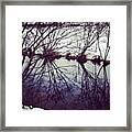 #reflection #water #river #bush #pretty Framed Print