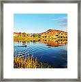 Reflections And The Lab Ness Monster Framed Print