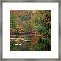 Reflections Of Fall Framed Print