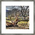 Reindeer Rest Framed Print
