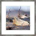 Remnants Of Icarus Framed Print