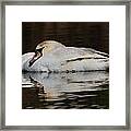 Repose Framed Print