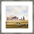 Resting Holsteins Framed Print