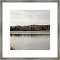 Restless Framed Print