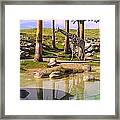 Reticulated Giraffe Framed Print