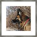 Retired From The Police Force Framed Print