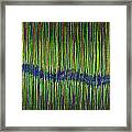 Ribbon Vision Framed Print