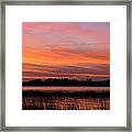 Ribbons Delight Framed Print