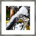 Ride On The Rocks Framed Print