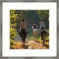 Riders With Horses In The Forest Framed Print