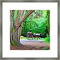 Riding In Style Framed Print