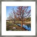 River And Winter Trees Framed Print