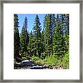 River In The Pines Framed Print