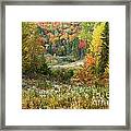 Road To Quill Hill Framed Print