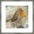 Robin Redbreast Framed Print