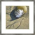 Rock And Feather Framed Print