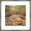 Rock By The Creek Framed Print