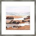 Rock Pools In The Sand Framed Print