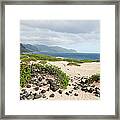 Rocks And Greenery In The Sand Leading Framed Print