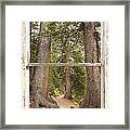 Rocky Mountain Forest Window View Framed Print