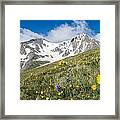 Rocky Mountain Springtime Framed Print