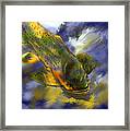Rocky Mountain Trout Framed Print