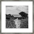 Rocky Path To The Sea In Mono Framed Print