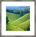 Rolling Hills Of Tennessee Framed Print