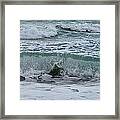 Rolling Waves Framed Print