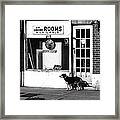 Rooms Available Framed Print