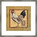 Rooster And Stripes Framed Print