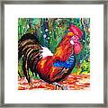 Rooster Closeup Framed Print