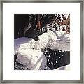 Rooster In Deep Snow Framed Print