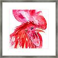 Rooster Framed Print