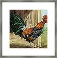 Rooster Framed Print