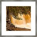 Rooted In Spring Framed Print