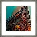 Roots Of Tree By Clark Lake Framed Print