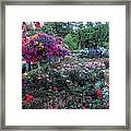 Rose Garden Framed Print