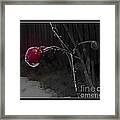 Rose Hip And Raindrop Framed Print