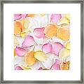 Rose Petals Background Framed Print