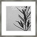 Rosemary Framed Print