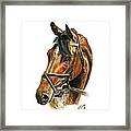 Royal Delta Framed Print