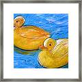 Rubber Ducks In A Tub Framed Print